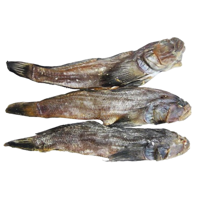 DRIED SALTED GOBY(BICHOK) GUTTED HEAD ON V/P 1/8.8LB BAKREU UKRAINE N70000005/9003 210172