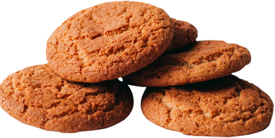 COOKIES OATMEAL BOK-O-BOK CLASSIC 1/13.2LB POSIDELKINO RUSSIA N503 / 983 4607011265037