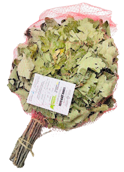 VENIK FOR BANYA OAK ZAPAKH KARPAT BY PC