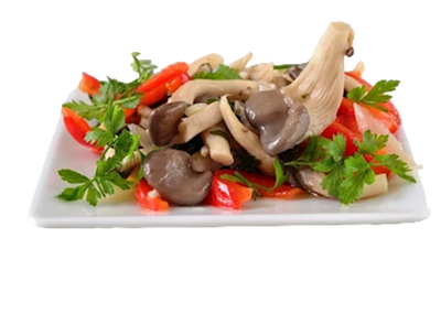 MUSHROOM MARINATED OYSTER(VESHENKI) GARDEN MADE 1/5LB PRE-ORDER ONLY