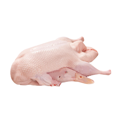 DUCK WHOLE FROZEN W/O GIBLETS 6/6.7LB CULVER DUCK