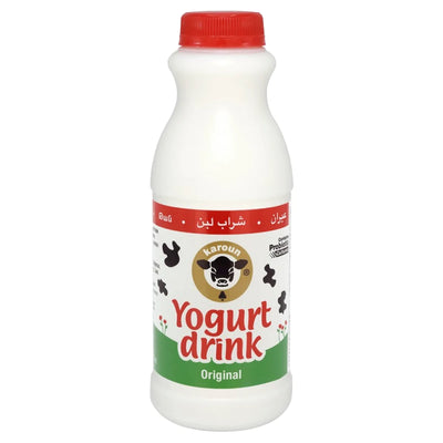 AYRAN ORIGINAL 24/473ML KAROUN DAIRIES N136473