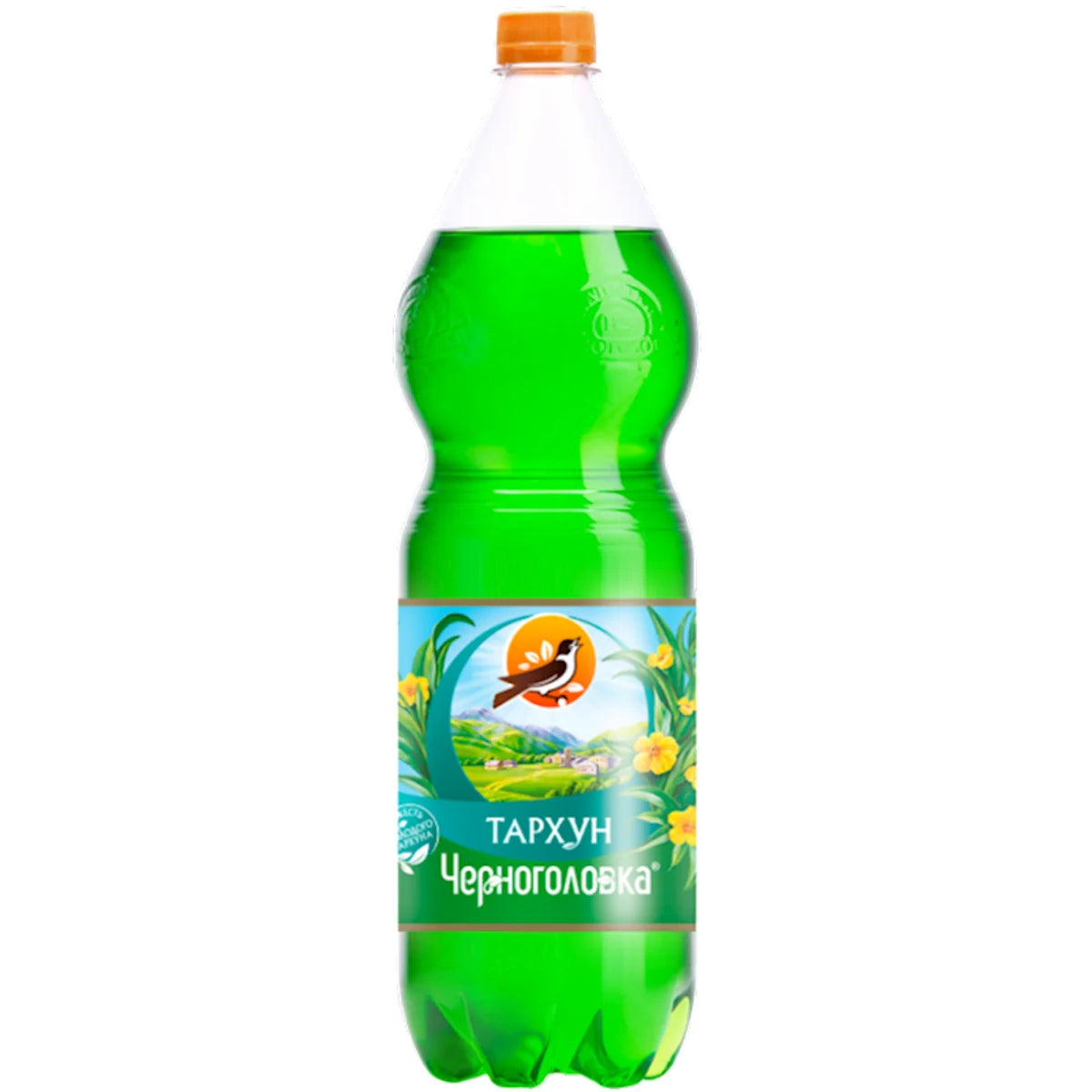 SOFT DRINK TARKHUN 6/2L PLASTIC CHERNOGOLOVKA N57012