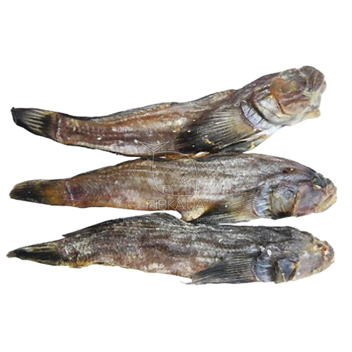 DRIED SALTED GOBY(BICHOK) GUTTED HEAD ON V/P 1/8.8LB BAKREU UKRAINE N70000005/9003 210172