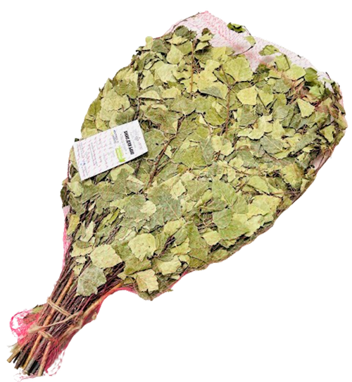 VENIK FOR BANYA BIRCH ZAPAKH KARPAT BY PC