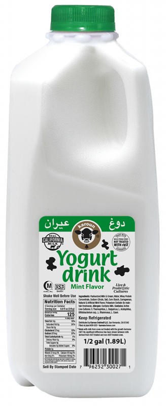 AYRAN W/MINT 6/1.89L KAROUN DAIRIES
N136476