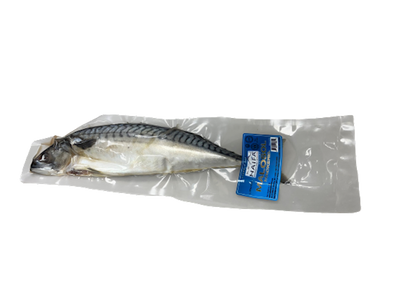 MACKEREL MALOSOL V/P 12/1.4LB HAIFA 600-V