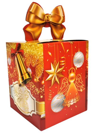 XMAS GIFT BOX LITTLE ANGEL 6/500GR BISCUIT CHOCOLATE