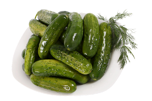 PICKLES HALF SOUR LOOSE GARDEN MADE 1/19LB