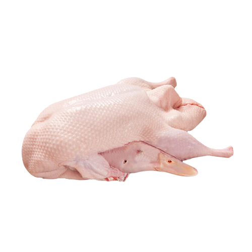 DUCK WHOLE FROZEN W/O GIBLETS 6/6.7LB CULVER DUCK