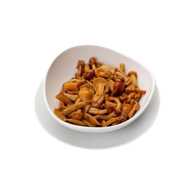 MUSHROOMS OPYATA 27/12OZ MOLDOVA  PRE-ORDER ONLY