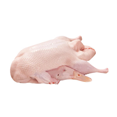 DUCK WHOLE FROZEN W/O GIBLETS 6/6.7LB CULVER DUCK