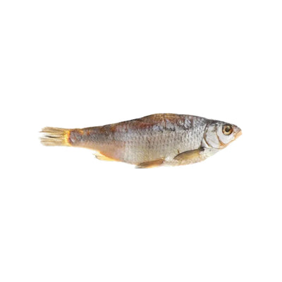 DRIED SALTED PIKE PERCH(SUDAK)GUTTED HEAD ON V/P 1/7.7LB BAKREU UKRAINE N70000004/8990 210170