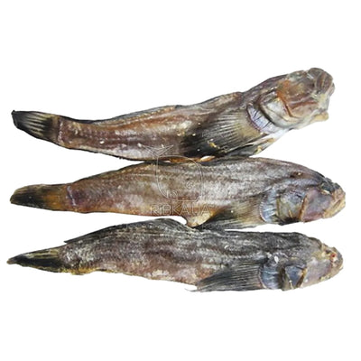 DRIED SALTED GOBY(BICHOK) GUTTED HEAD ON V/P 1/8.8LB BAKREU UKRAINE N70000005/9003 210172